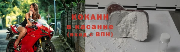 ПСИЛОЦИБИНОВЫЕ ГРИБЫ Белокуриха