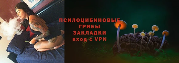 ПСИЛОЦИБИНОВЫЕ ГРИБЫ Белокуриха