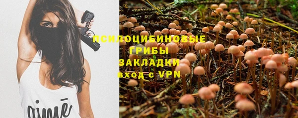 ПСИЛОЦИБИНОВЫЕ ГРИБЫ Белокуриха