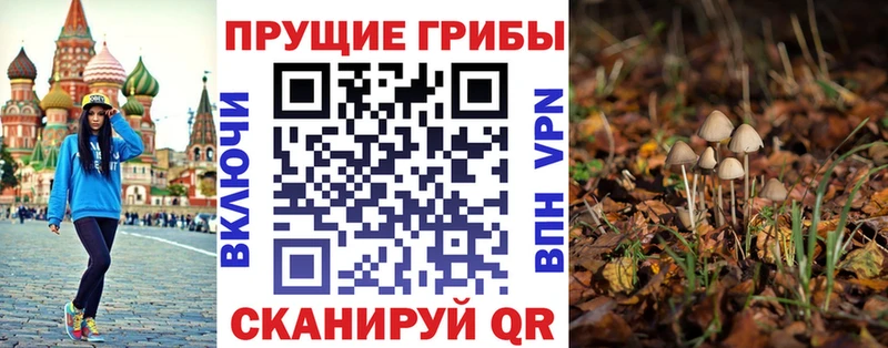 Галлюциногенные грибы мицелий  Киров 